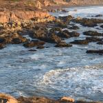 DSC_6405 (May 05, 2023)